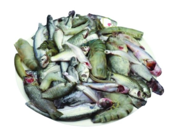 পাঁচ মিশালী নদীর মাছ (রেডি টু কুক) - প্রতি ১ কেজি
