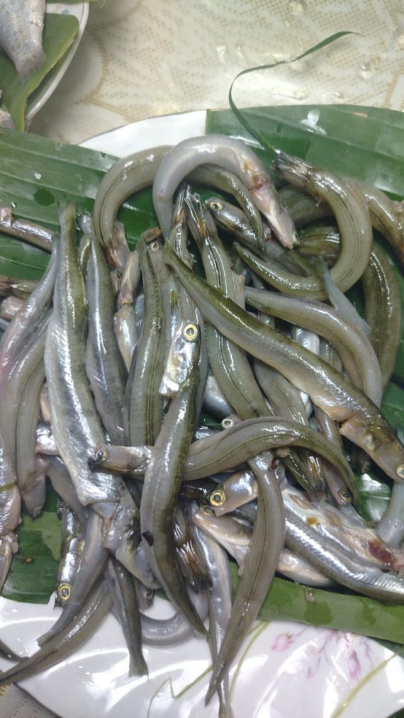কাকিলা মাছ - বড় সাইজ (রেডি টু কুক) - প্রতি ১ কেজি